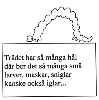 Trädet har så många hål. Där bor det så många små larver, maskar, sniglar, kanske också iglar...