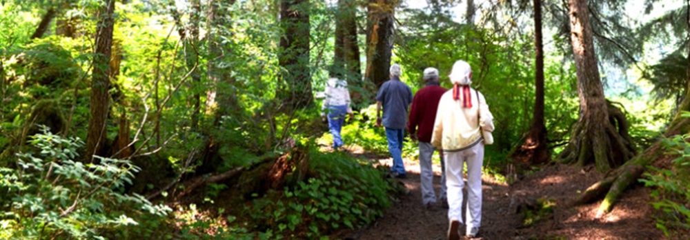walk forrest1000.jpg