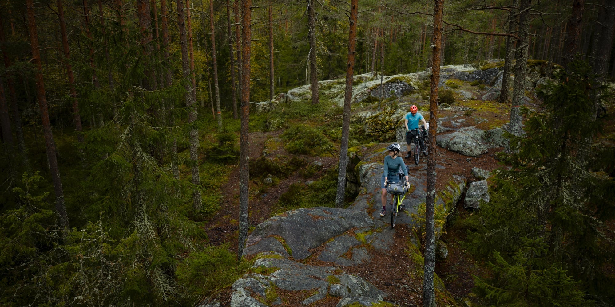bikepacking-skog.jpg