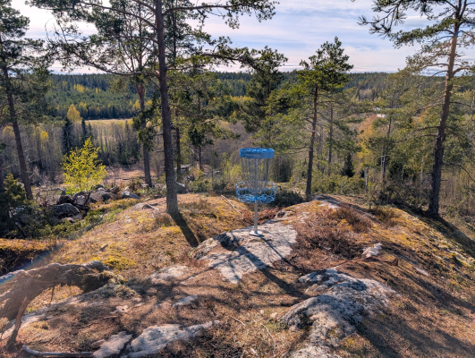 Bild av discgolf korg