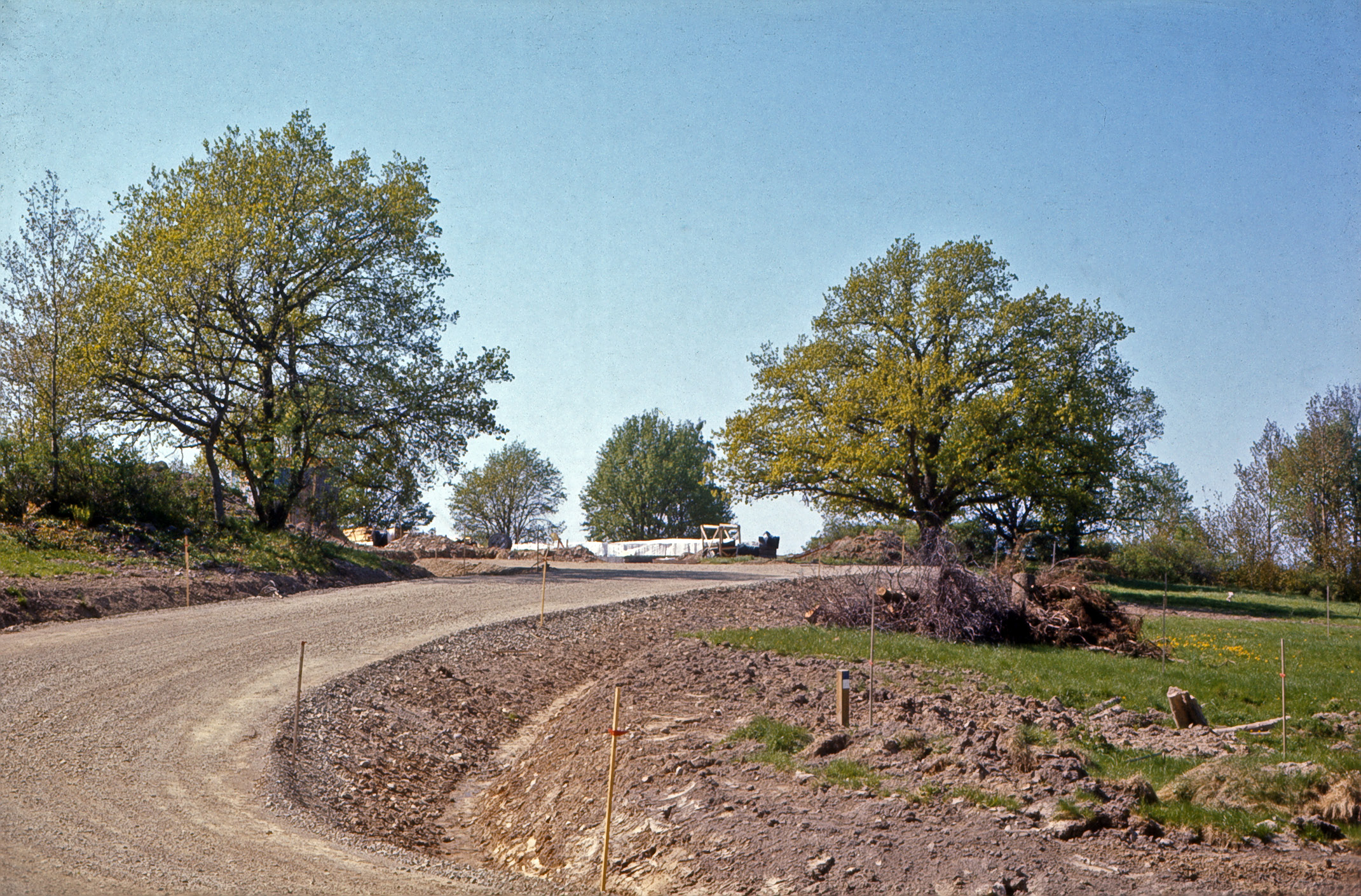 Körsbärskullen 1970.jpg