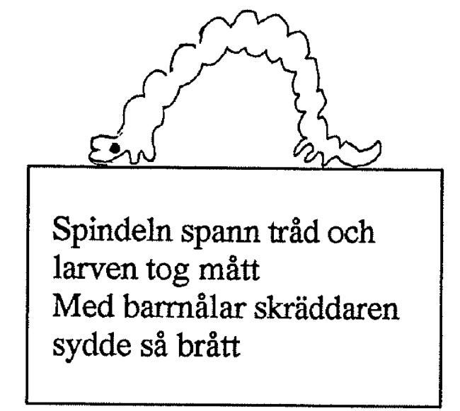 Skogsmulles sagospår station 3: Spindeln spann tråd och larven tog mått. Med barrnålar skräddaren sydde så brått.