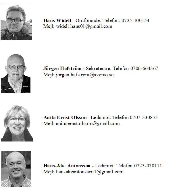 Styrelsen 2019.jpg