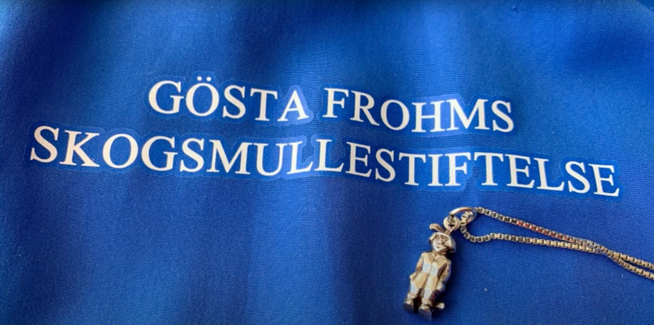 Skärmavbild 2025-10-01 kl. 15.09.52.png