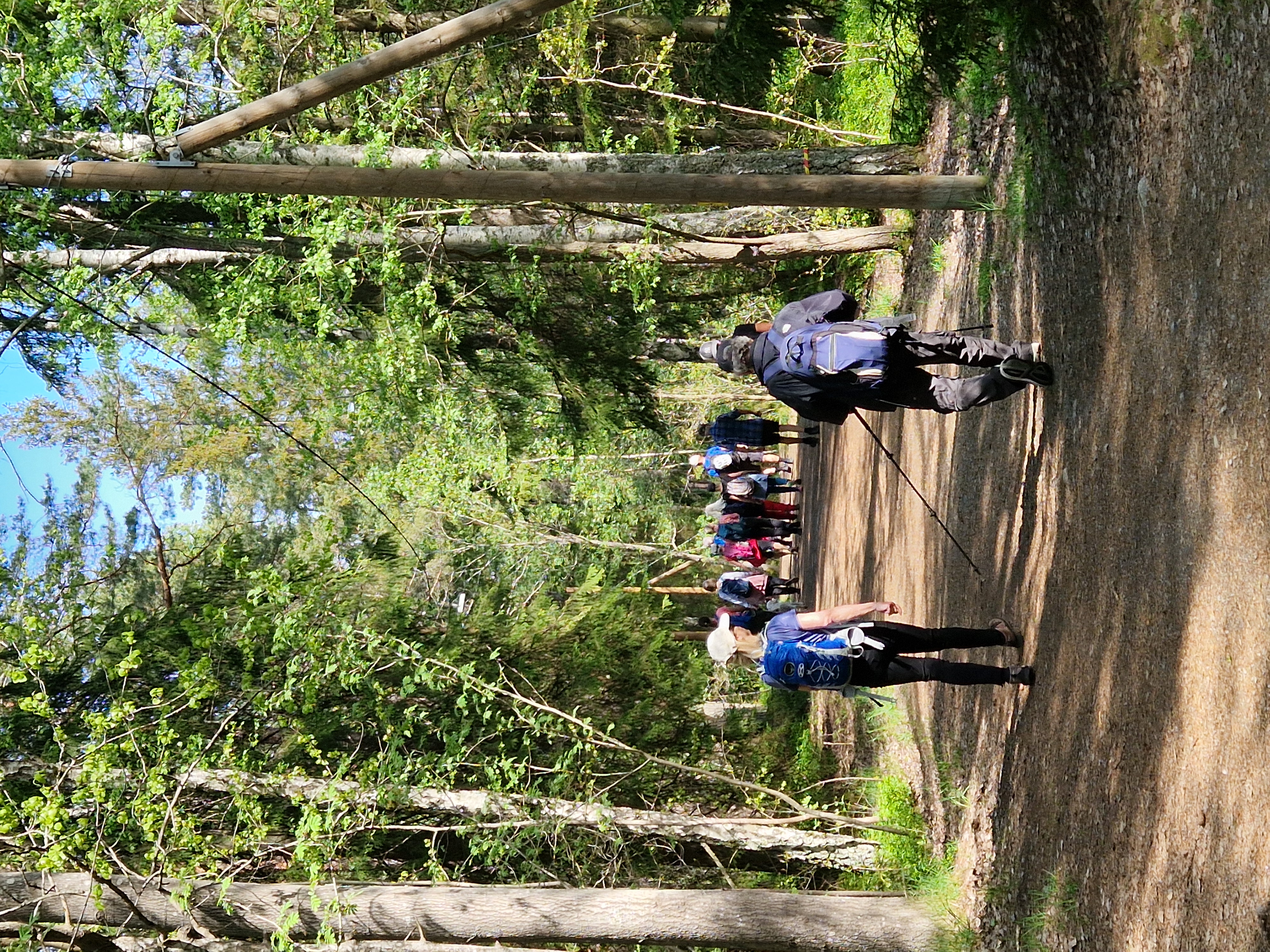Onsdagsvandring 2026-05-20 1000020603.jpg