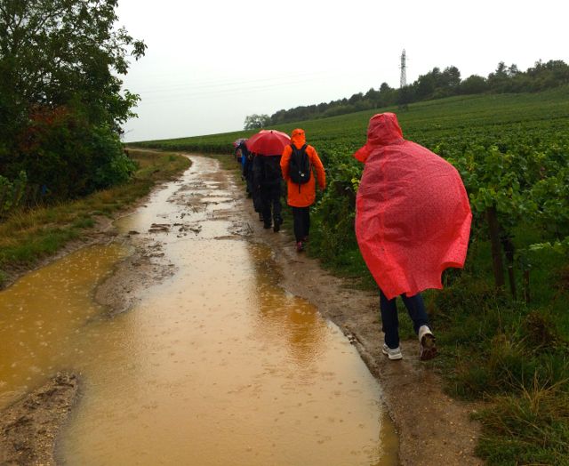 Vandring i Bourgogne regn