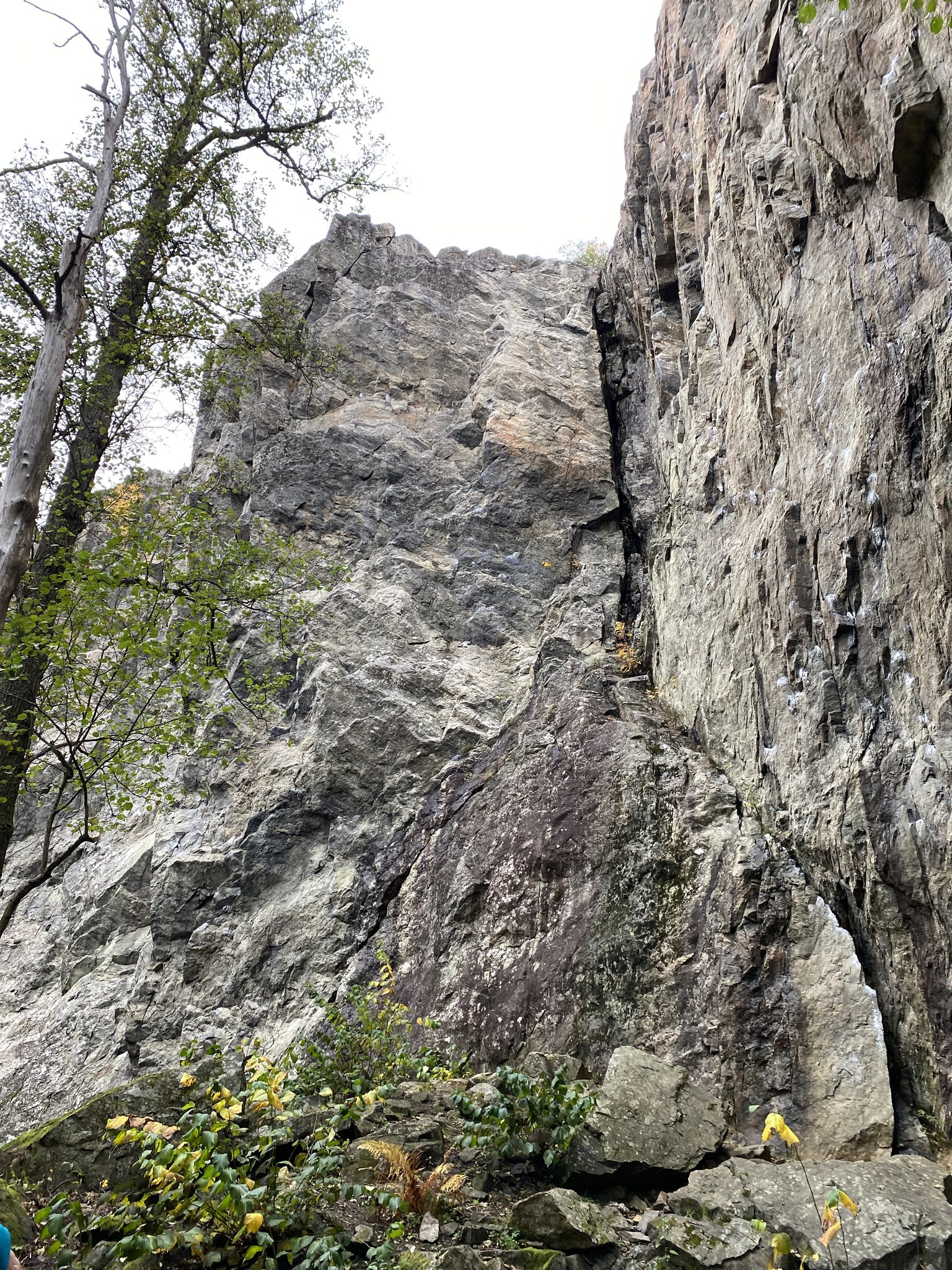 2022-10-22 Tuff skogsvandring på Värmdö 2.jpg