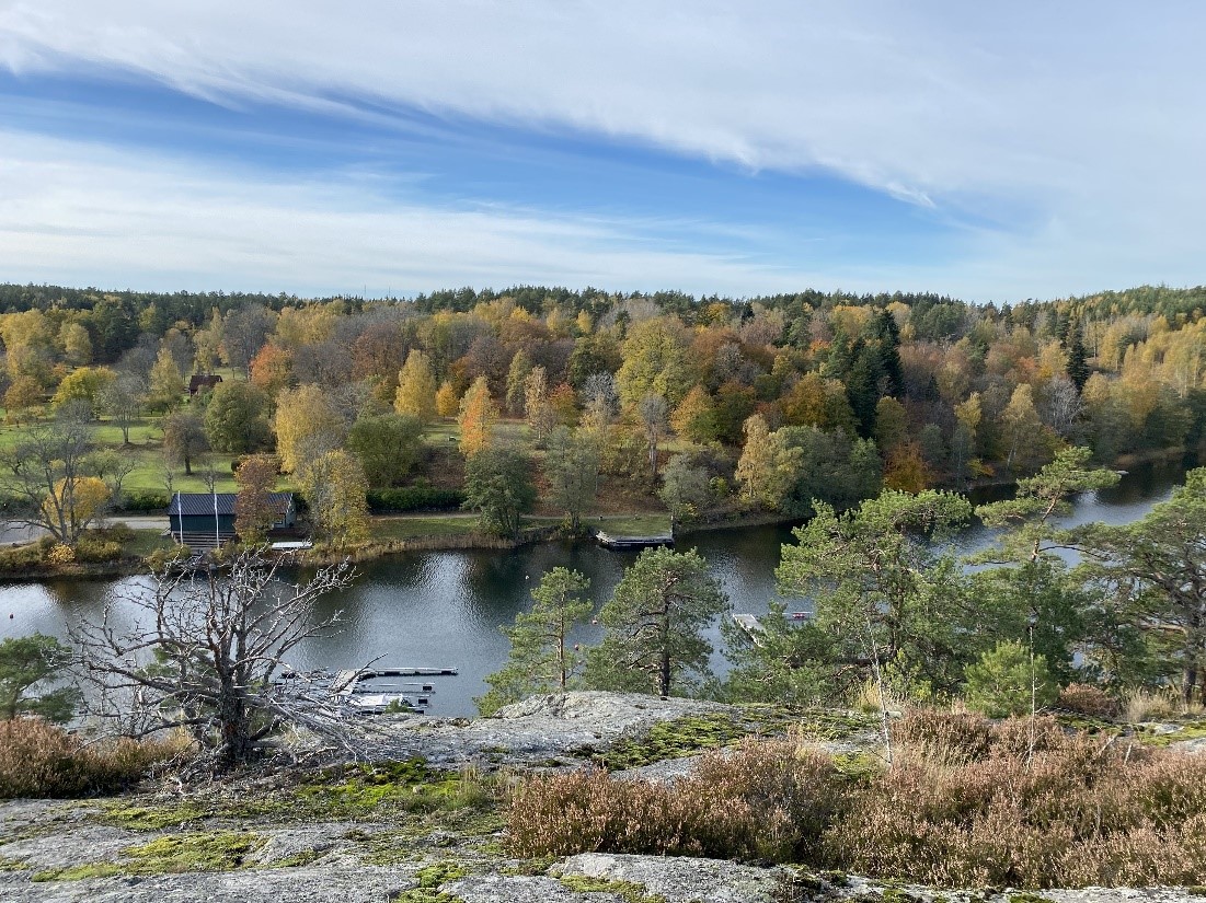 2022-10-22 Tuff skogsvandring på Värmdö 4.jpg