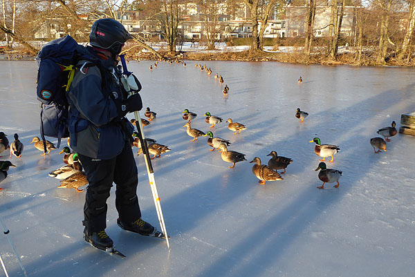 Mottagningskommitté änder