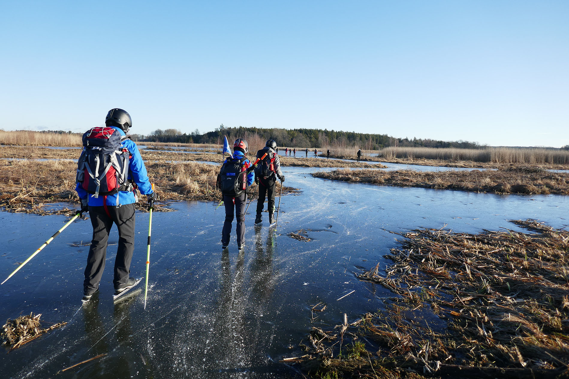 Bland vindlingarna vid fågeltornet