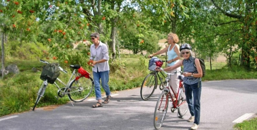 Cykelturen, till Lisinge