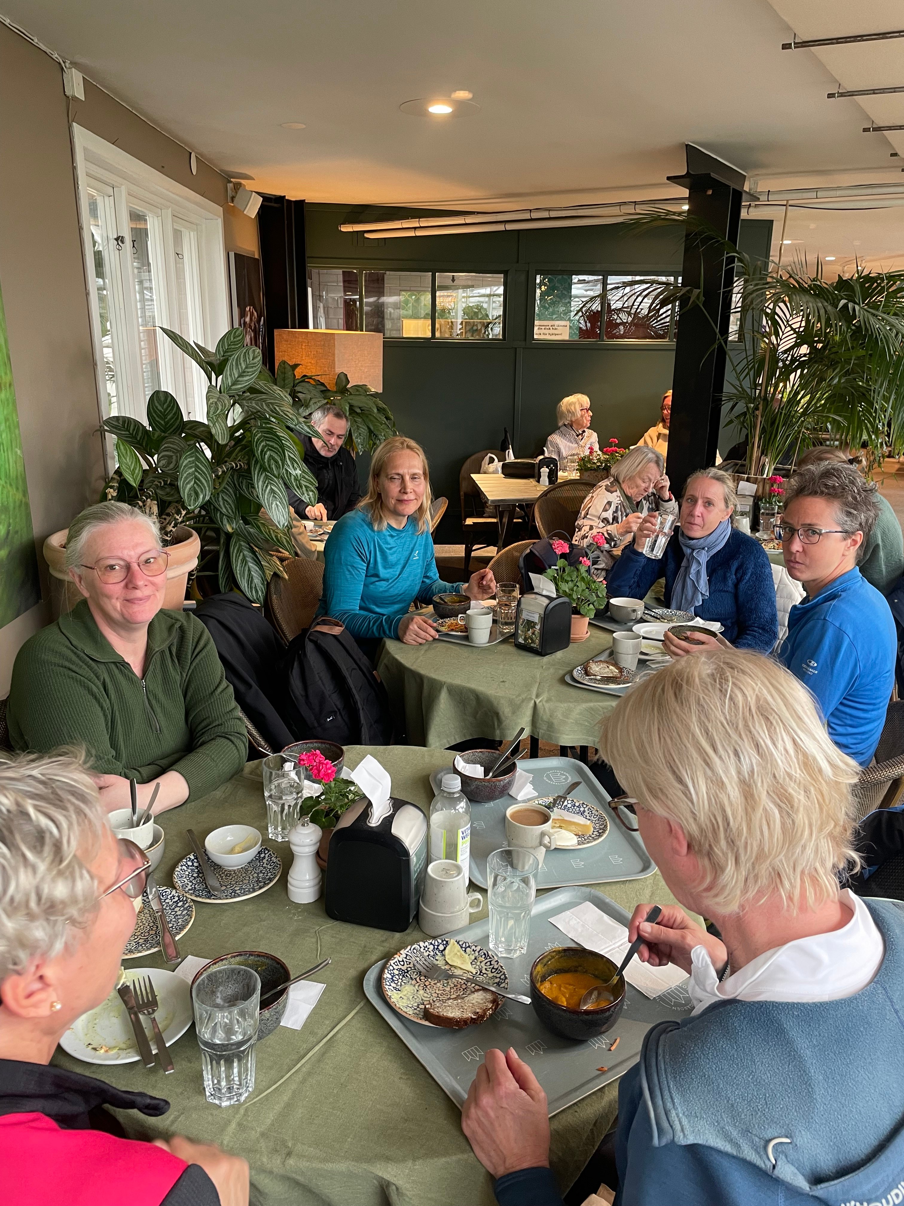 4 maj 2025 trägårdskafe.jpeg