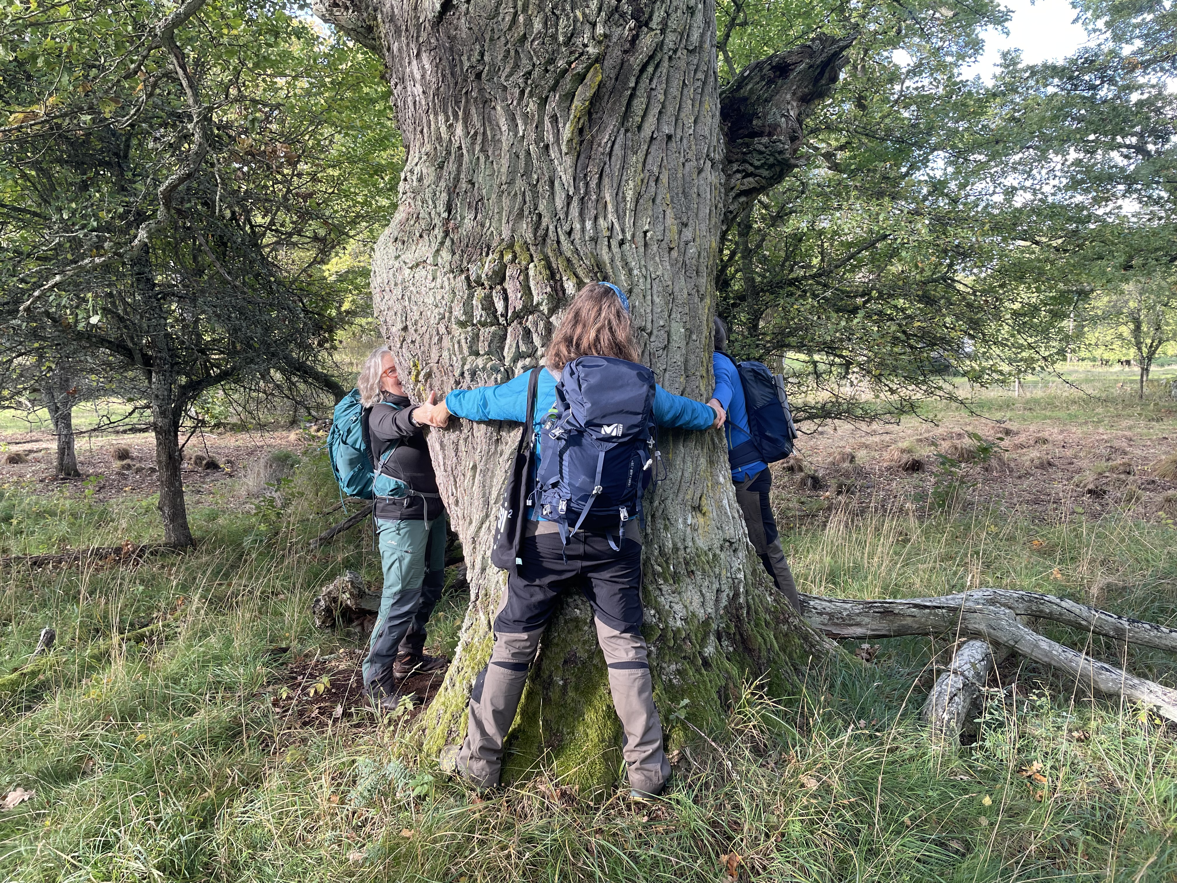 5 okt Upplandsleden.jpeg