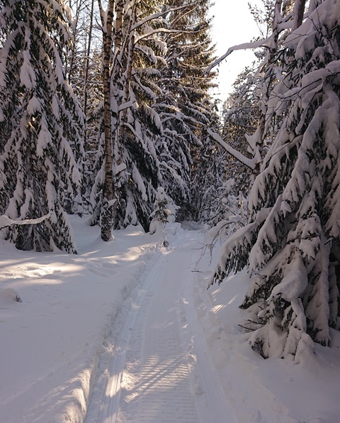 Promenadspår i Hampis.JPG