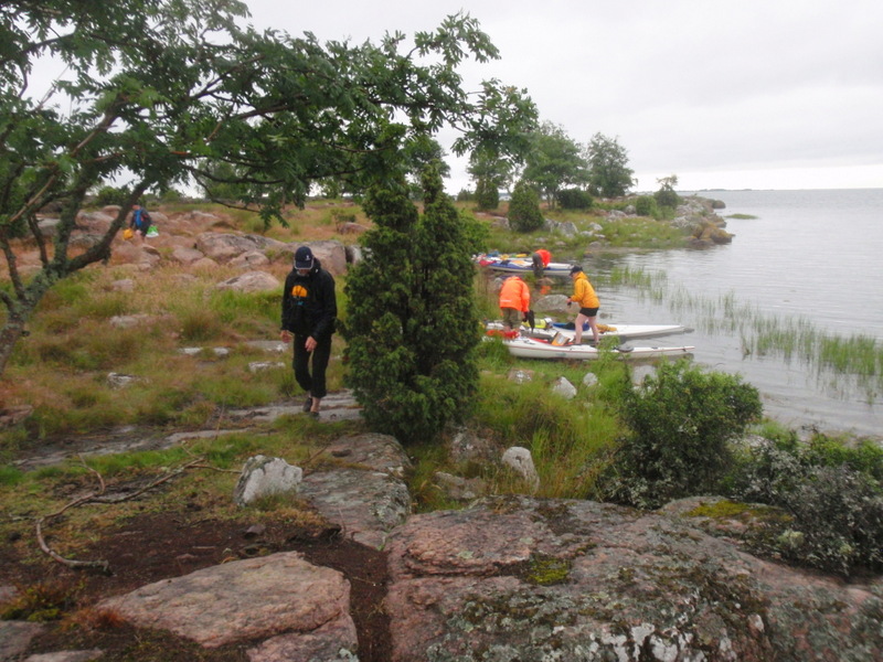 Fikarast på Öppenskär.