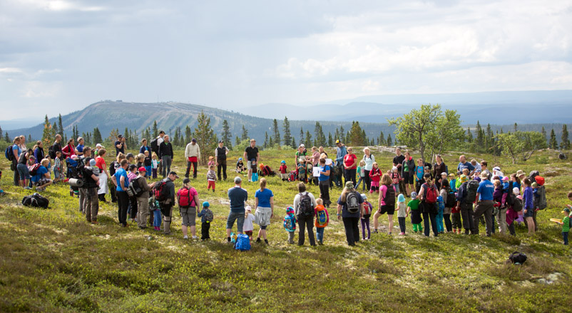 Fjällfina