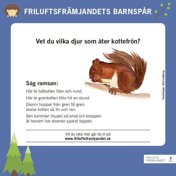 Barnspår 1.jpg