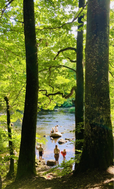 Äventyrliga familjen2.png