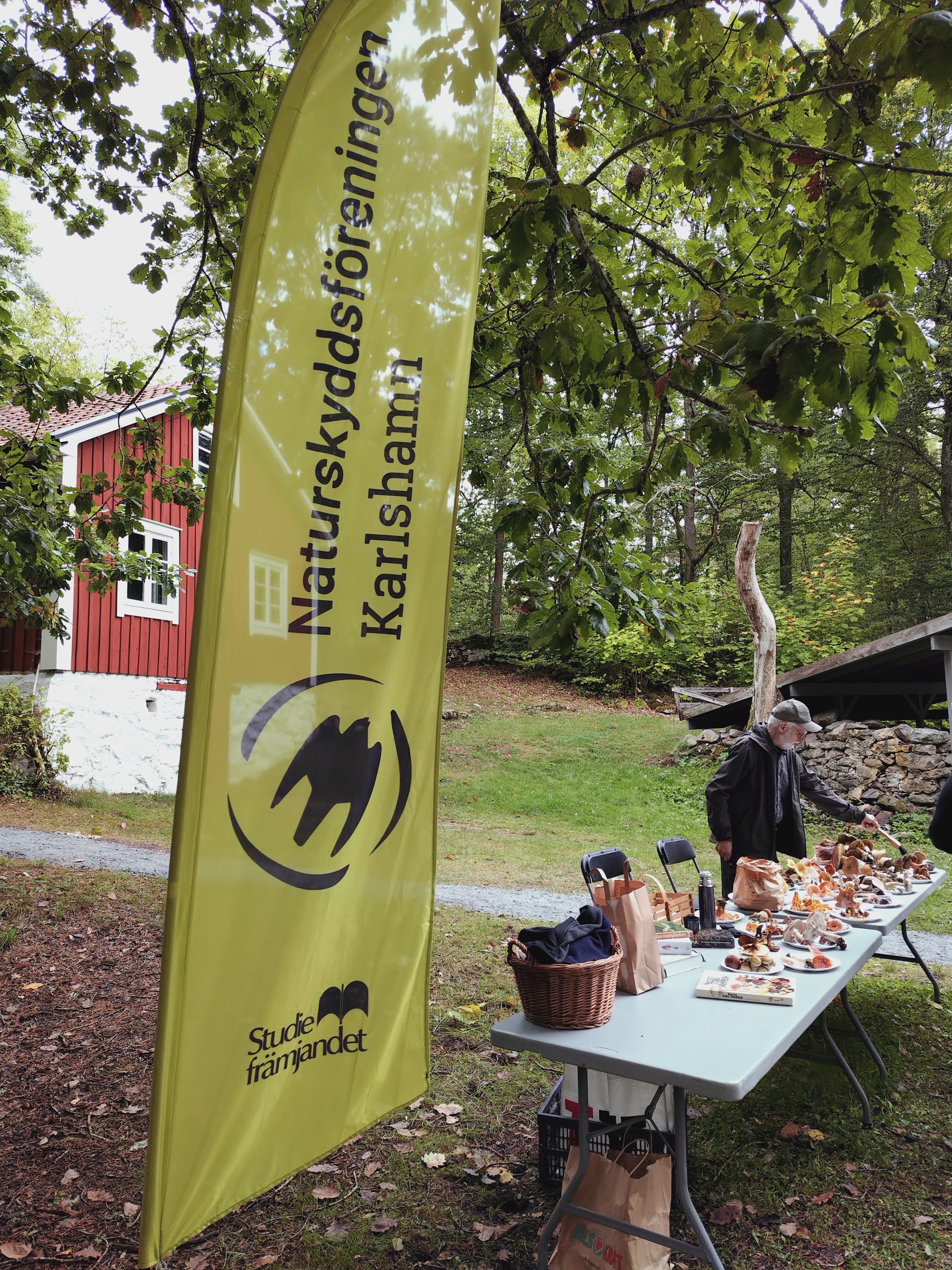 Blekingelunken NaturskyddsF.jpg