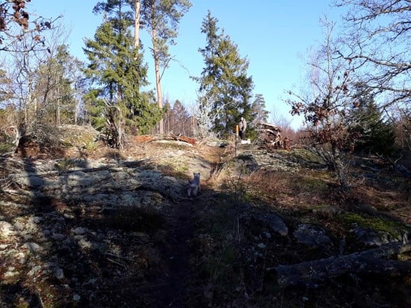 Vandring jan 2020 2.jpg