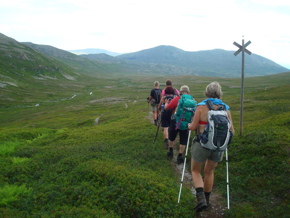 Fjällvandring i Olviksfjällen 2014 2