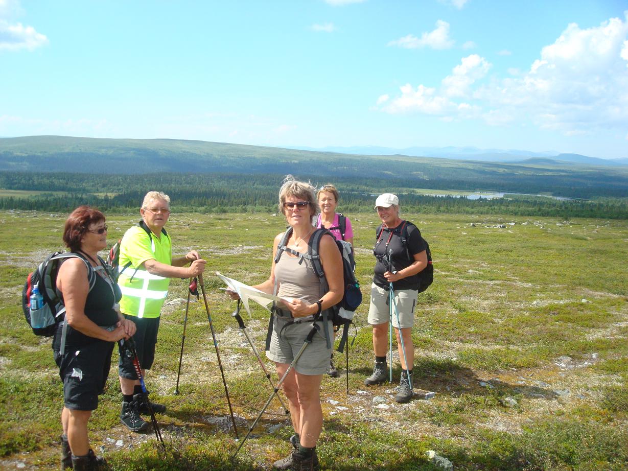 Fjällvandring i Olviksfjällen 2014