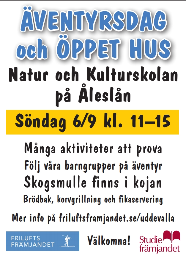 annons.jpg