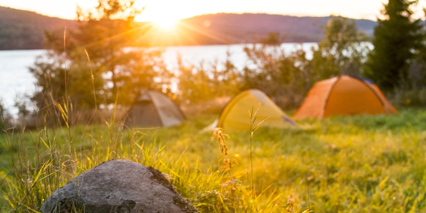 www.friluftsframjandet.se