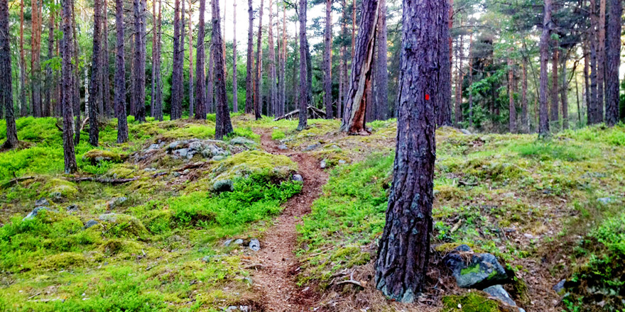 www.friluftsframjandet.se