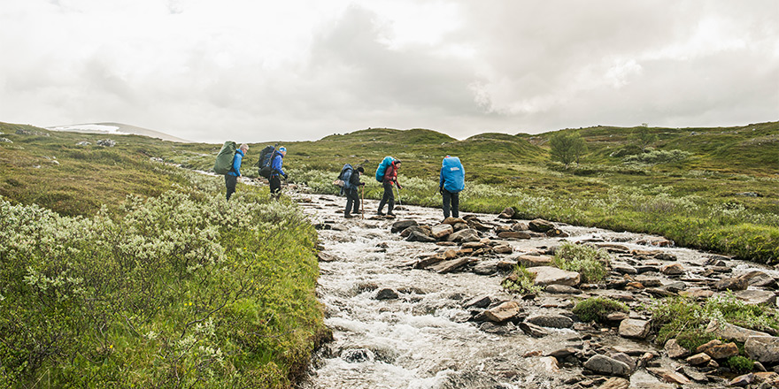 fjall01072016-282fotoHenrikWitt.jpg