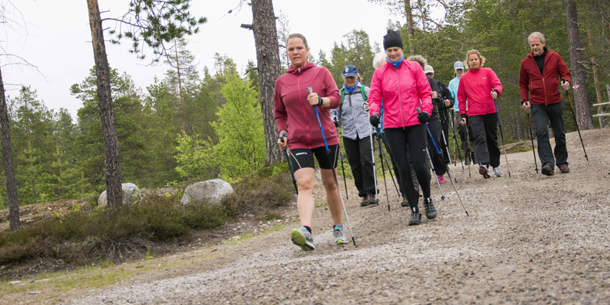 webb_DSC2920_Liten_fotoCajsaRännar.jpg