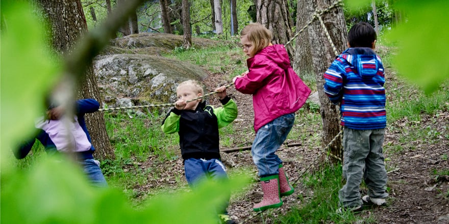 AKT_skogisreplek_fotoErikaWillners.jpg