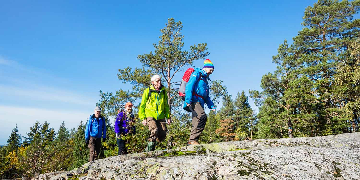 friluftsframjandet_vandring_181004_4008_danielohlsson_srgb_lr_webb.jpg