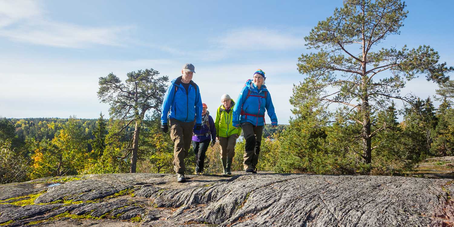 friluftsframjandet_vandring_181004_4052_danielohlsson_srgb_lr_webb.jpg