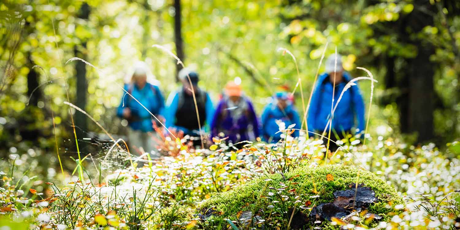 friluftsframjandet_vandring_181004_4457_danielohlsson_srgb_lr_webb.jpg