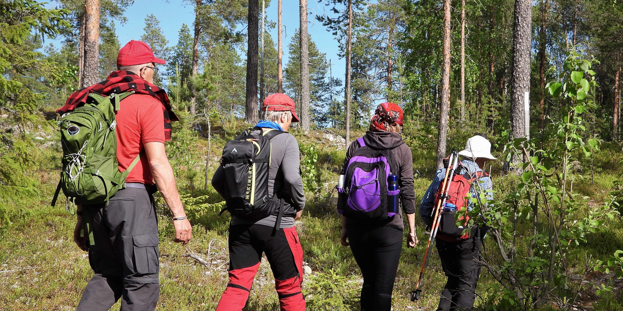 Grupp vandrar lågland.jpg