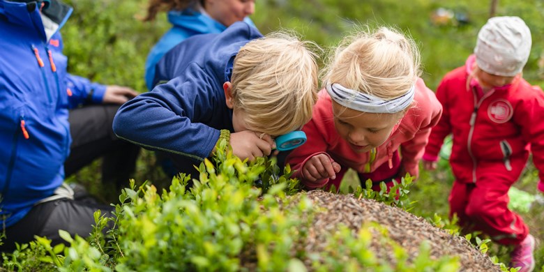 Barngrupp med ledare kollar på myrstack med förstoringsglas