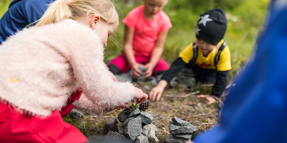 Barngrupp och ledare leker med kottar och stenar i naturen