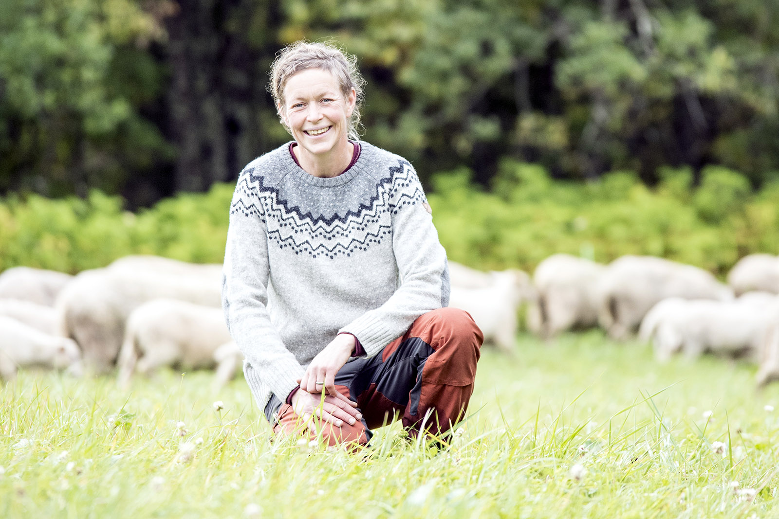 Natasha Skott bland Brattlandsgårdens får, vars ull nu blir tröjor åt Fjällräven.